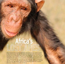 5. Lost apes