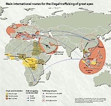 6. slave trade
