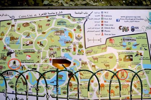 9. Giza Zoo