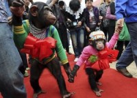 They are forced to perform silly skits… 