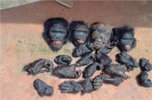 20151495820991580_20