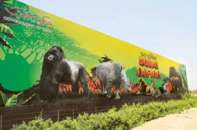 Will the new Dubai Safari Park import illegal great apes?