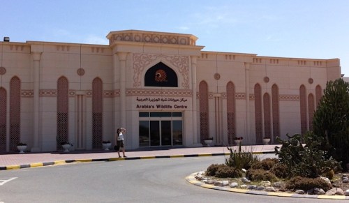 The Arabia's Wildlife Centre has no great apes.