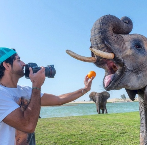 Fazza photographing one of his Zimbabwean elephants