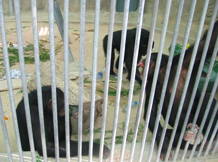 5Rita, Timmy&amp;Tina