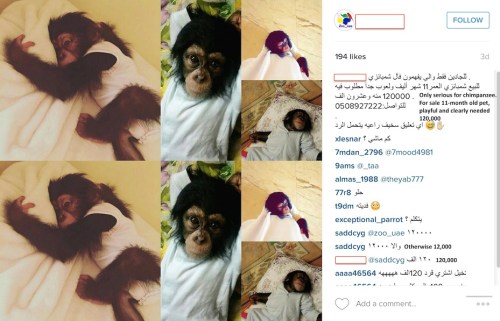 1-2-4-16-for-sale-copy