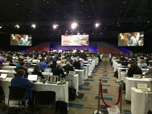 The conference hall was packed for the elephant and rhino proposals
