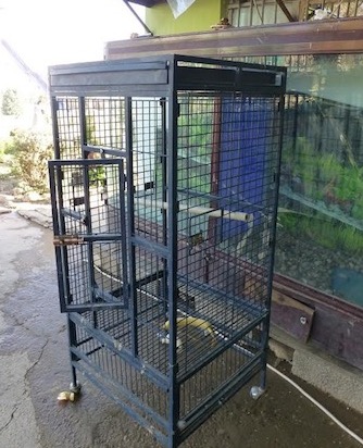 Manno’s ‘bird cage’, where he spent his time being taunted by zoo visitors.