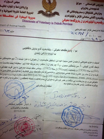 The veterinary health import document for Manno. (Photo courtesy of Animals Lebanon)