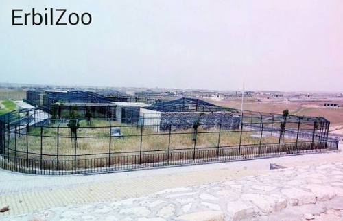 Erbil Zoo, where Manno first arrived from Syria, is nothing more than a concentration camp for exotic animals. Unfortunately, it is typical of most found in the region. (Erbil Zoo Facebook page)