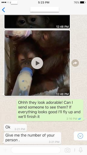 It took weeks of undercover work to set up the sting