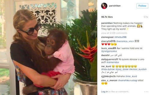 2-hilton-8-5-15-copy