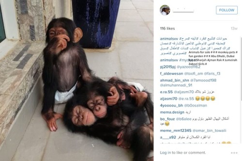 6-14-7-15-for-sale-copy