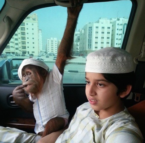 Even with their children